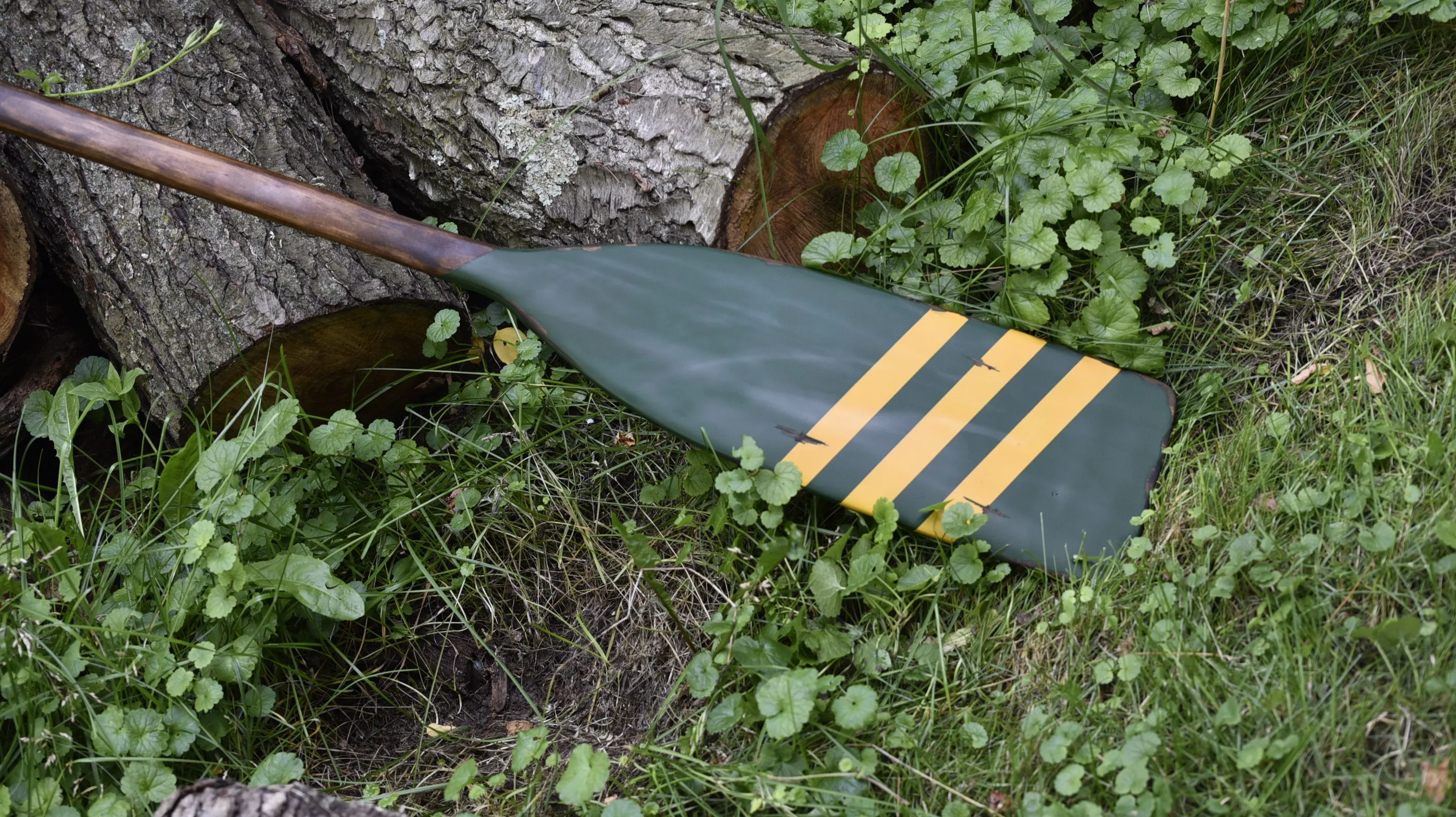 OLD Forest Paddle
