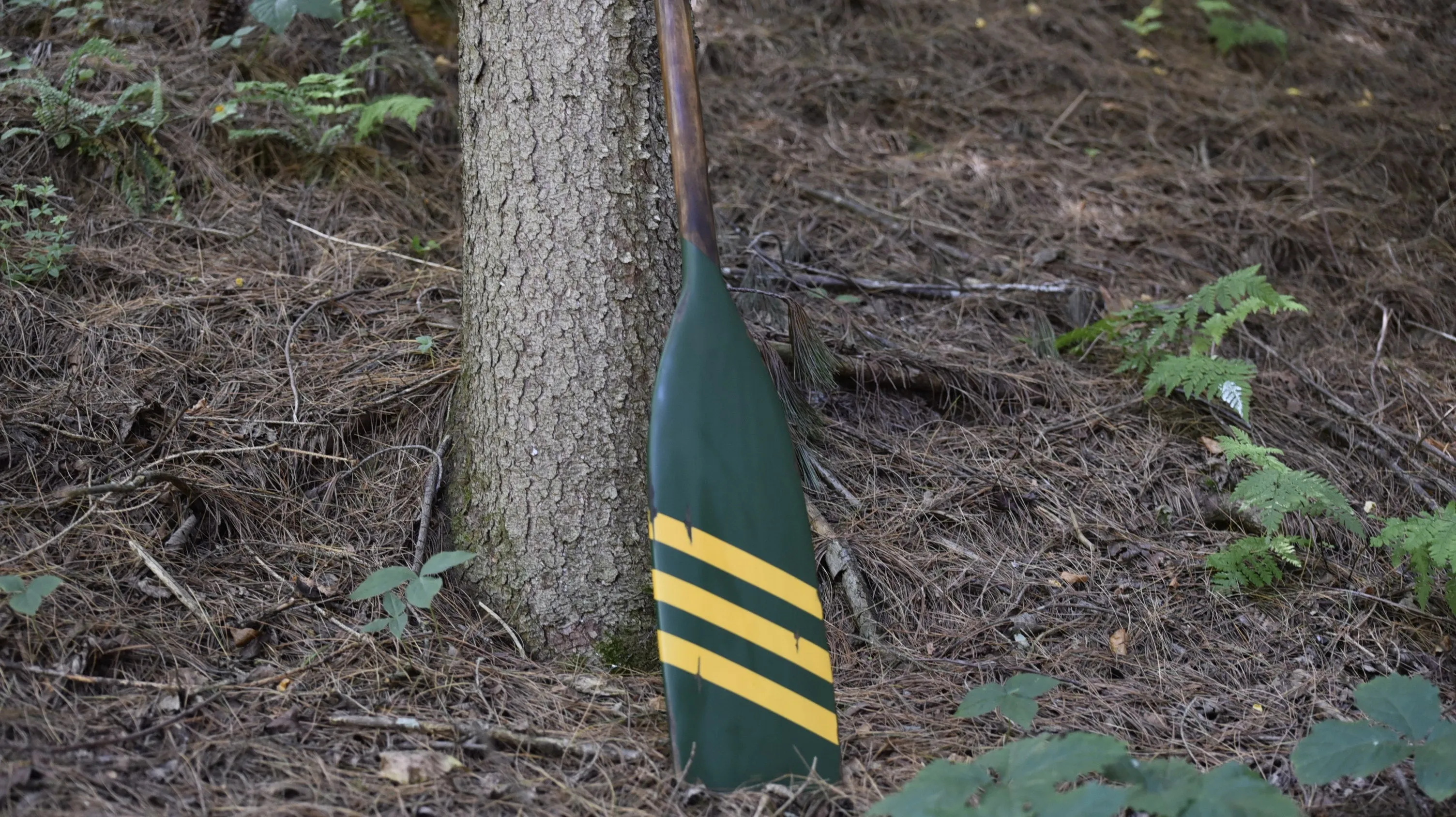OLD Forest Paddle