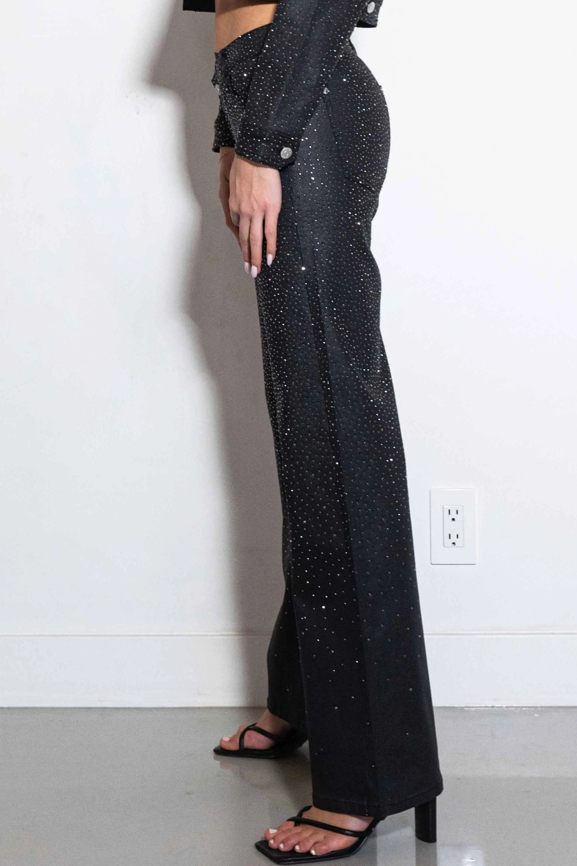 Yonce Coated Wide Pants