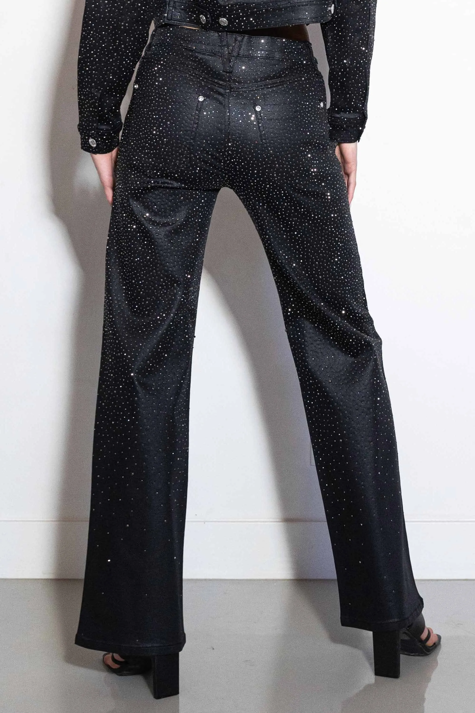 Yonce Coated Wide Pants