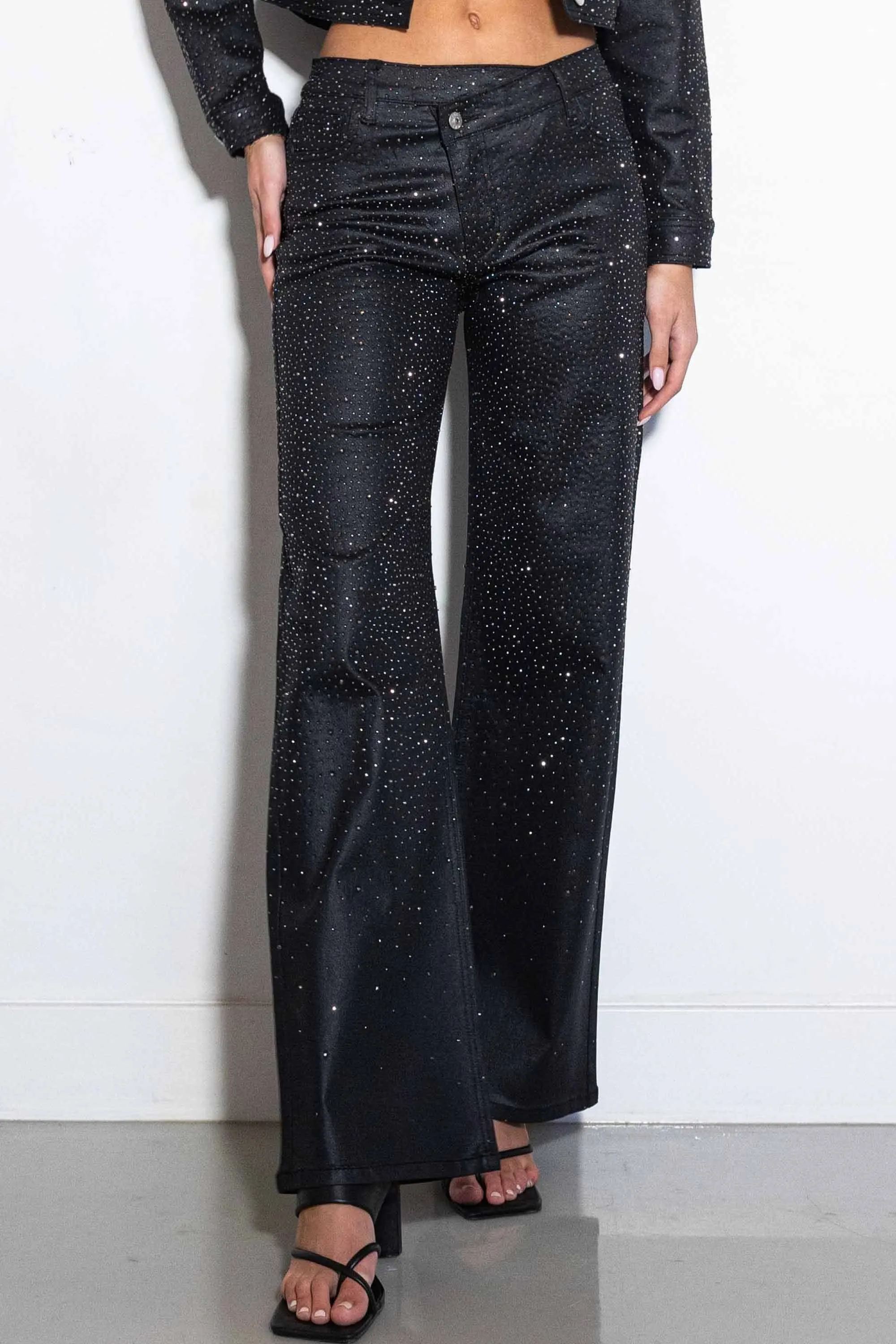 Yonce Coated Wide Pants